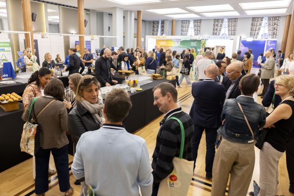 EXPOSITION - Photo 26
